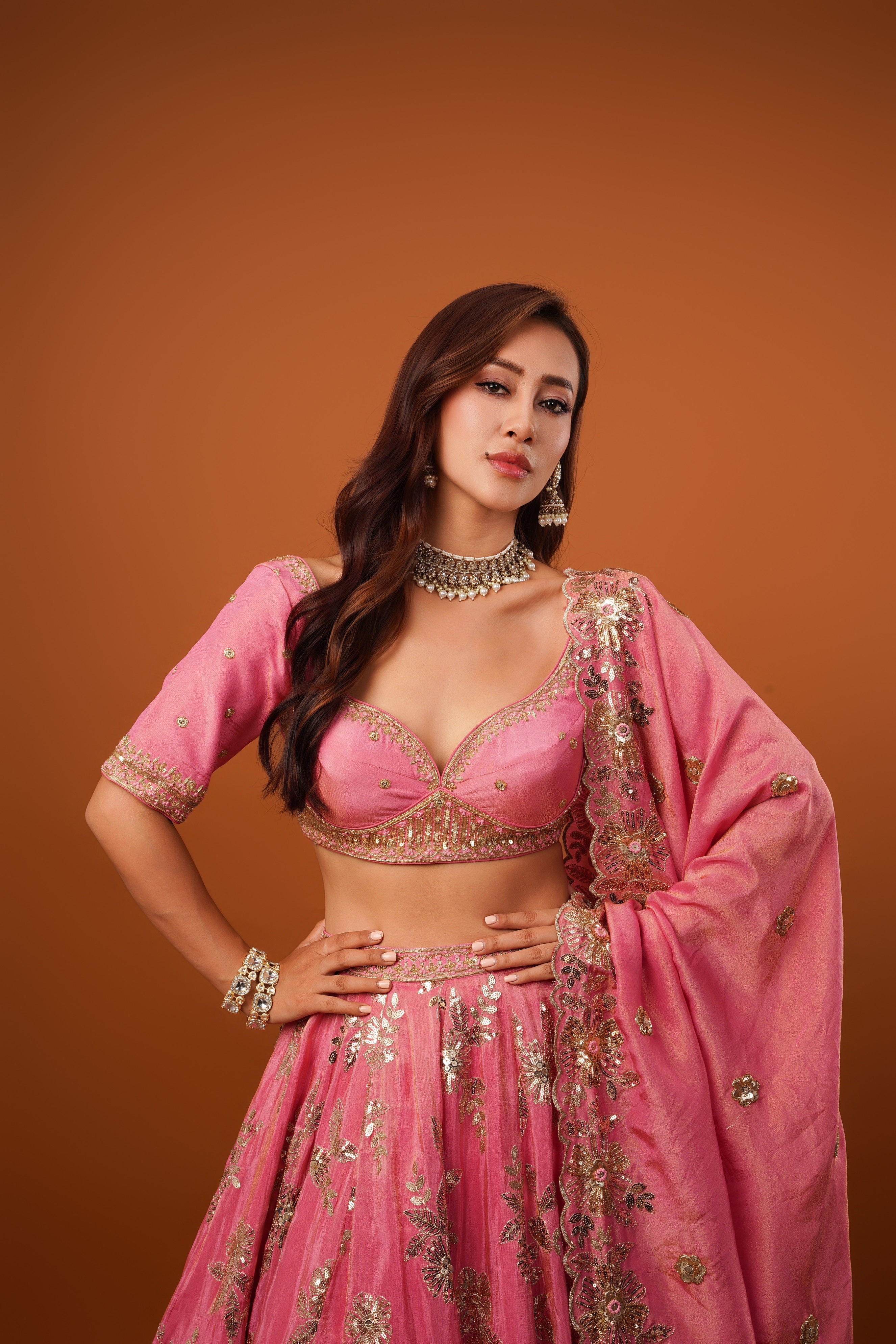 Blush pink tissue Embroidered lehenga